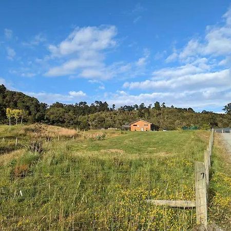 Enchanted Retreat In Greymouth Shared With Host Buitenkant foto